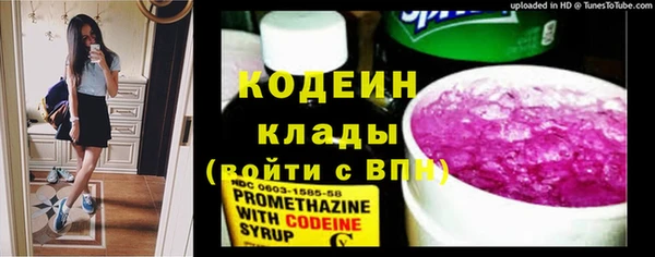 молекула духа Покровск