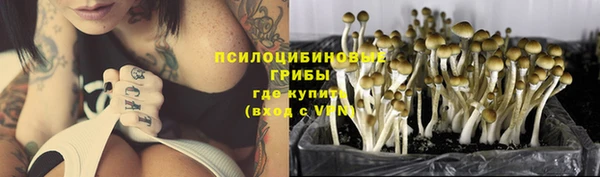 прущий лед Алексеевка